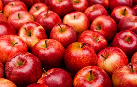 施硼以提高苹果产量